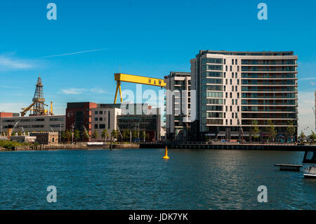 Titanic Quarter Queen isola del fiume Lagan Belfast Foto Stock