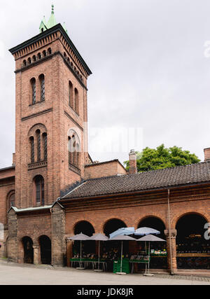 OSLO, Norvegia - 8 giugno 2017: Dronningens gate, accanto alla Cattedrale, è un luogo vivace con terrazze e ristoranti Foto Stock