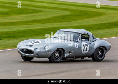 1962 Jaguar E-Type Semi-leggero con autista Fred Wakeman durante la Graham Hill Trophy gara a Goodwood GRRC LXXV Assemblea dei Soci, Sussex, Regno Unito. Foto Stock