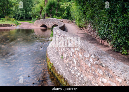 Gallox Bridge, Dunster, Somerset, Exmoor, England, Regno Unito Foto Stock