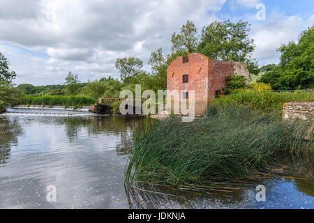 Tagliare il mulino, Sturminster Newton Dorset, England, Regno Unito Foto Stock