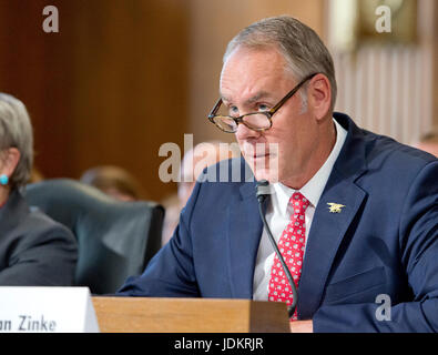 Washington, Stati Uniti d'America. Xx Giugno, 2017. Stati Uniti Segretario degli Interni Ryan Zinke appare prima del senato degli Stati Uniti di commissione per l'energia e le risorse del presidente richiesta di budget per il ministero degli Interni per l'anno fiscale 2018 sul Campidoglio di Washington, DC martedì, 20 giugno 2017. Credito: MediaPunch Inc/Alamy Live News Foto Stock