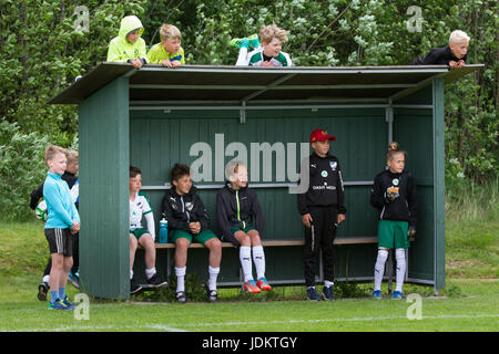 Mariehamn, Isole Åland, Finlandia, 20 giugno 2017. Gli ultimi giochi di gruppo al giorno tre del Alandia Cup a Baltichallen in Mariehamn, Åland in Finlandia il 20 giugno 2017. Oltre 1500 giocatori provenienti da più di 100 squadre giovanili provenienti da tutta la Svezia e la Finlandia prende parte al popolare estivo annuale torneo di calcio nell'arcipelago finlandese. Nella foto: la panchina è un po' sovraccarico. Immagine: Rob Watkins/Alamy News Foto Stock