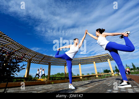 Zhangye, Zhangye, Cina. Il 21 giugno, 2017. Le donne pratica yoga presso il National Zhangye Wetland Park in Zhangye, a nord-ovest della Cina di Provincia di Gansu, Giugno 21st, 2017, marcatura International Yoga giorno. Credito: SIPA Asia/ZUMA filo/Alamy Live News Foto Stock