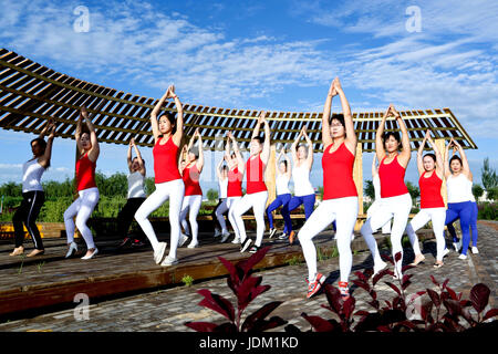 Zhangye, Zhangye, Cina. Il 21 giugno, 2017. Le donne pratica yoga presso il National Zhangye Wetland Park in Zhangye, a nord-ovest della Cina di Provincia di Gansu, Giugno 21st, 2017, marcatura International Yoga giorno. Credito: SIPA Asia/ZUMA filo/Alamy Live News Foto Stock