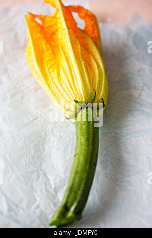 Commestibile fiori di zucchina isolato Foto Stock