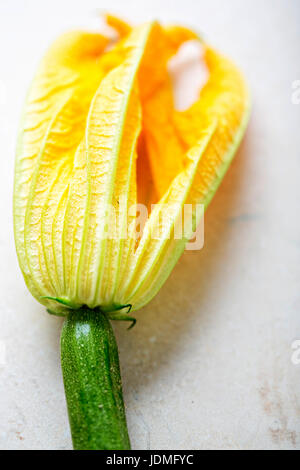 Commestibile fiori di zucchina isolato Foto Stock