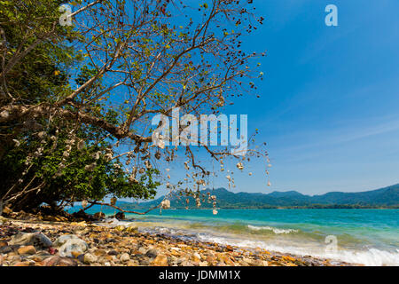 Paesaggio estivo con la bellissima scena sulla remota isola tropicale Ko Suwan vicino a Koh Chang in Thailandia. Seascape presi durante la gita in kayak. Foto Stock