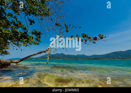 Paesaggio estivo con la bellissima scena sulla remota isola tropicale Ko Suwan vicino a Koh Chang in Thailandia. Seascape presi durante la gita in kayak. Foto Stock