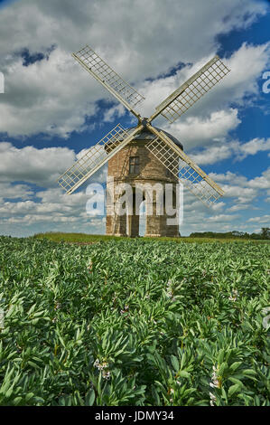 Chesterton Windmill nel Warwickshire è circondato da un raccolto di fave. Foto Stock