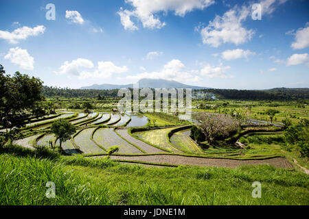 La risaia terrazze a Bali settentrionale nei pressi di Ubud con mount agung in background Foto Stock