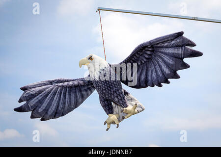 Giocattolo imbottito di un aquila calva appesi da un bastone in Cheshire Show 2017 Foto Stock