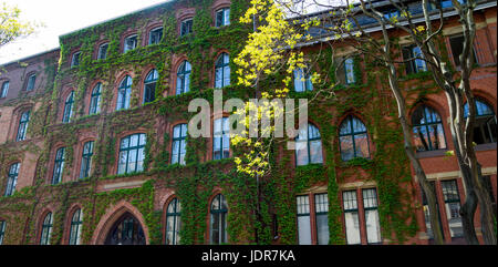 Facciata verde in un grande edificio pubblico Foto Stock