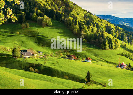Scenic paesaggio pastorale con una pittoresca valle di montagna in Germania, Muenstertal, Foresta Nera. Tonica, diffusa. Foto Stock