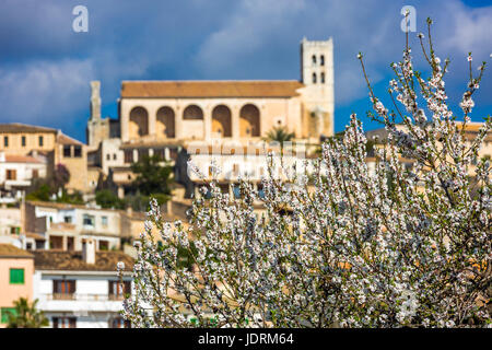 Almond blossom nel villaggio di Selva, Es Raiguer, Maiorca, SPAGNA Foto Stock