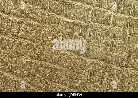 Textured dettaglio dell' elefante africano pelt ( Loxodonta adaurora ) Foto Stock