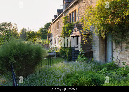 Serata di sole in cottages in Lower Slaughter in giugno. Cotswolds, Gloucestershire, Inghilterra Foto Stock