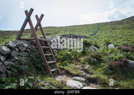 Stile oltre il muro su ferny hillside Foto Stock