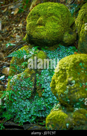 Tempio OTAGI, Kyoto, Giappone - 19 Ottobre 2016 : statue in pietra ricoperta di moss stand con la preghiera la postura. Foto Stock