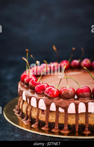 Delizioso due strati di cioccolato e ciliegia cheesecake dessert decorate con frutti di bosco freschi sul buio Foto Stock