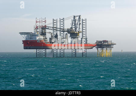 Il Pacifico Osprey Jack-Up costruzione nave all'Rampion per centrali eoliche offshore Offshore elettrico Sub-Station (EOS) Foto Stock