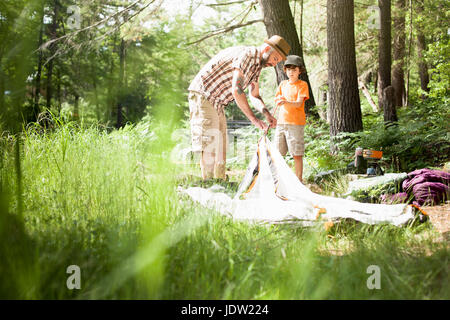 Padre e figlio pitching tenda in foresta Foto Stock