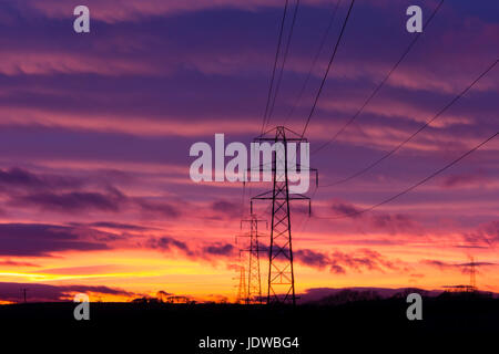 Elettricità tralicci in Angus al tramonto Foto Stock