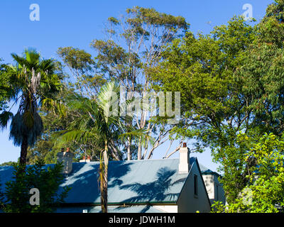 Glebe Case, Sydney, NSW, Australia, sole invernale Foto Stock