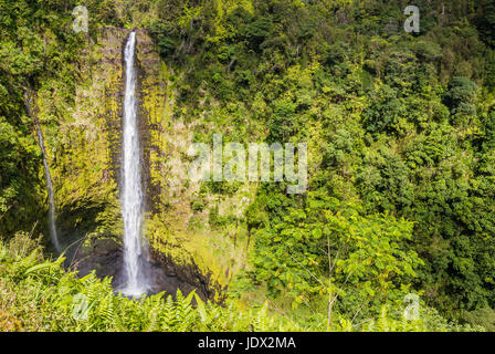 Akaka Falls, Hawaii, USA, colore foto orizzontale di una cascata nel mezzo di un lussureggiante foresta pluviale. Foto Stock