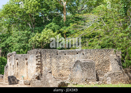 Gede rovine in Kenya sono i resti di una città swahili, tipico della maggior parte delle città lungo la costa est africana Foto Stock