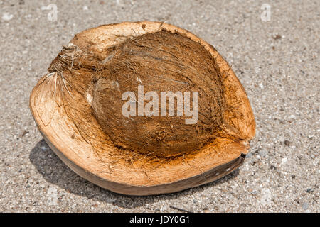 Fresche noce di cocco aperta sulla spiaggia in Thailandia. Foto Stock