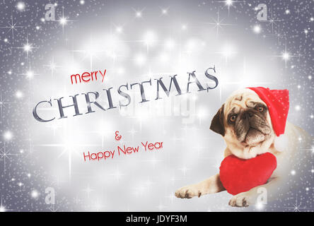 Pug in santa costume giacente, esentate, sfondo bianco vestiti da Babbo Natale, indossando un morbido cuore intorno al suo collo Foto Stock