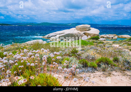 Windy costline con rocce di arenaria vicino a Costa Serena, Sardegna, Italia Foto Stock