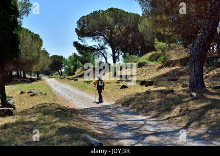 A piedi la Via Appia Antica (Via Appia Antica) costruito da Appius Claudius Caecus a partire dal 312 a.c. Il primo di qualità lungo strade dritte da Roma Foto Stock