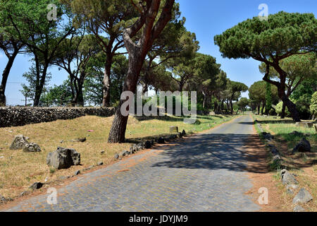 Appia Antica costruita nel 312 A.C. È emerso in pietra lungo le strade diritte da Roma Foto Stock