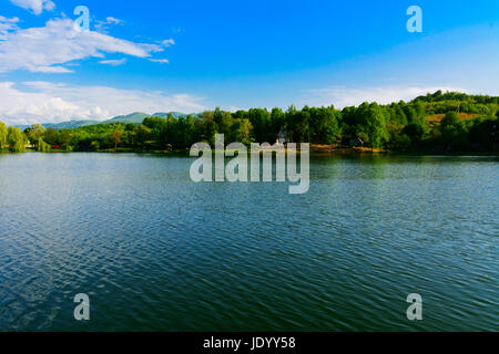 Vista sul grande lago per il riposo e la pesca, Ucraina Foto Stock
