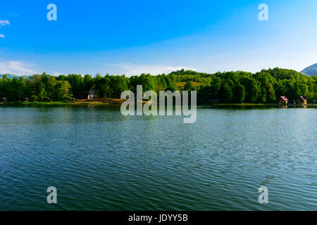 Vista sul grande lago per il riposo e la pesca, Ucraina Foto Stock
