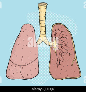 Cartoon di polmoni umani con sezione trasversale lobi Foto Stock