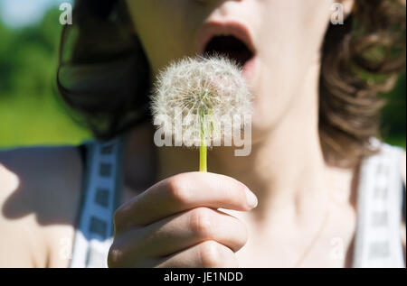 Ragazza sono soffiando su di una bianca tarassaco nella foresta Foto Stock