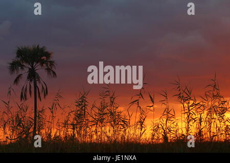 Tramonto in Lochinvar National Park, Zambia Foto Stock