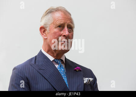 Londra, Regno Unito. Il 22 giugno 2017. Il principe Charles, Principe di Galles, Patrono della Soil Association, assiste una reception con i sostenitori del cibo organico movimento per segnare il suo settantesimo anniversario. La Soil Association promuove una sana, umano e alimentare sostenibile, agricoltura e uso del territorio. Foto Stock