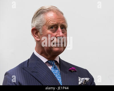 Londra, Regno Unito. Il 22 giugno 2017. Il principe Charles, Principe di Galles, Patrono della Soil Association, assiste una reception con i sostenitori del cibo organico movimento per segnare il suo settantesimo anniversario. La Soil Association promuove una sana, umano e alimentare sostenibile, agricoltura e uso del territorio. Foto Stock