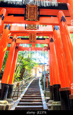 Kyoto, Giappone - 14 Aprile 2013: Fushimi Inari Taisha è in testa al santuario di Inari, situato in Fushimi-ku, Kyoto, Giappone Foto Stock