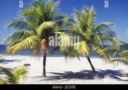 La spiaggia di Tela vicino a San Pedro Sula sul mare caribian in Honduras in America centrale, Foto Stock