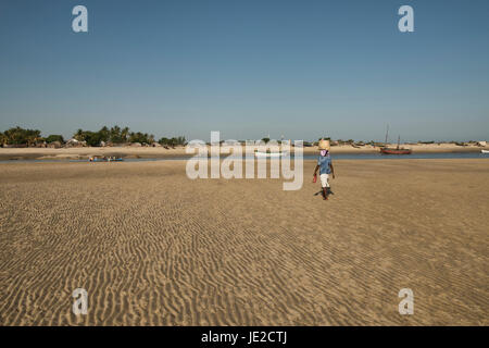 La donna che porta il pesce al mercato, Morondava, Madagascar Foto Stock