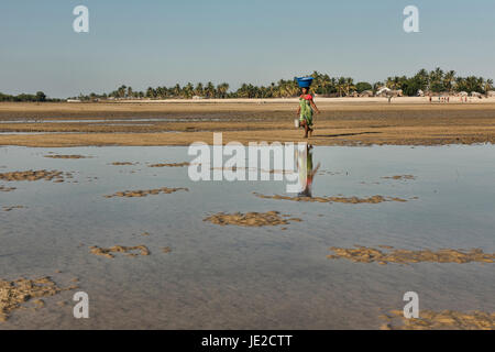 La donna che porta il pesce al mercato, Morondava, Madagascar Foto Stock