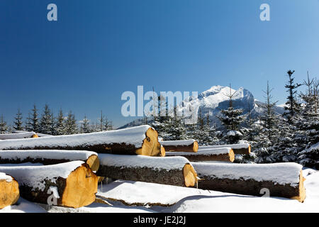 Inverno nelle montagne Tatra in Polonia con il mucchio di pezzi di legno Foto Stock