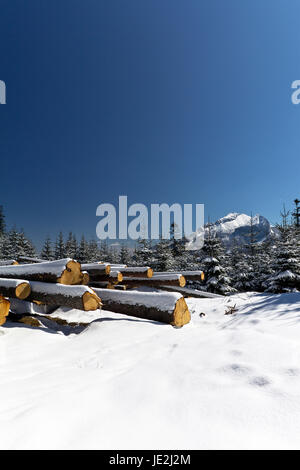 Nevoso inverno nelle montagne Tatra in Polonia con il mucchio di pezzi di legno Foto Stock