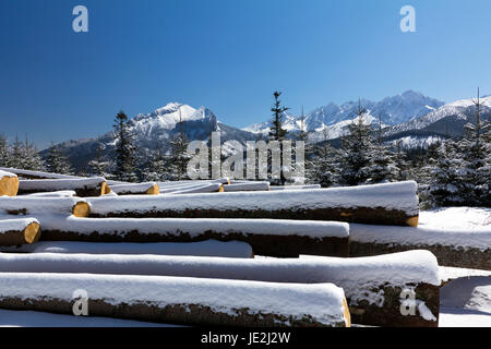 Inverno nelle montagne Tatra in Polonia con il mucchio di pezzi di legno Foto Stock