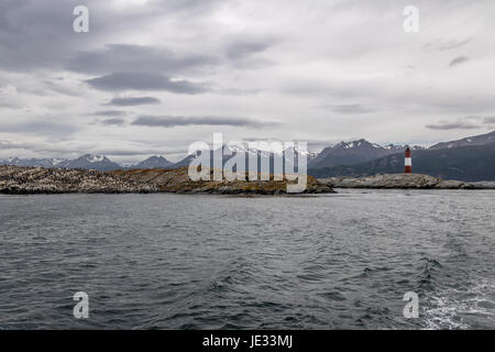 Cormorani (uccelli di mare) isola e faro - Canale di Beagle, Ushuaia, Argentina Foto Stock